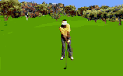 golf_fool.gif (25017 bytes)