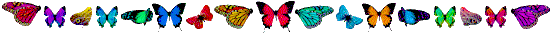 butterflyline.gif (7361 bytes)