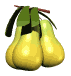 pears.gif (7065 bytes)