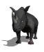 rhino.gif (6060 bytes)